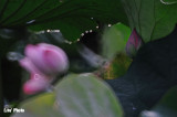 DSC_3843.jpg