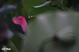 DSC_3864.jpg