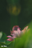 DSC_3284.jpg