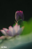 DSC_3297.jpg