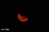 DSC_5865.jpg