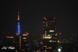 DSC_7738.jpg