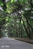 DSC_7818.jpg