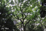 DSC_7838.jpg