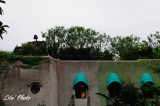 DSC_0412.jpg