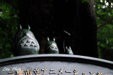 DSC_0441.jpg