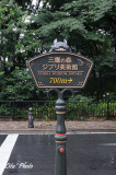 DSC_9905.jpg