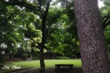 DSC_9959.jpg