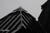 DSC_9972.jpg