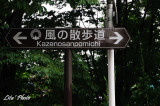 DSC_9992.jpg