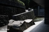 DSC_0596.jpg