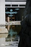 DSC_0603.jpg