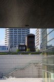 DSC_0663.jpg