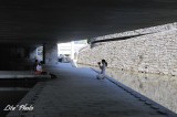 DSC_0686.jpg
