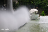 DSC_0918.jpg