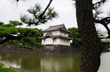 DSC_0935.jpg