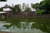 DSC_0953.jpg