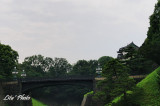 DSC_1008.jpg