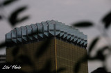 DSC_1092.jpg