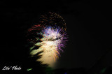 DSC_1232.jpg