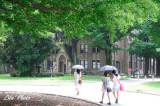 DSC_1319.jpg