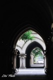 DSC_1331.jpg