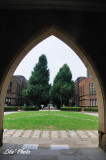 DSC_1381.jpg