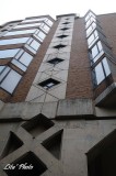 DSC_1403.jpg