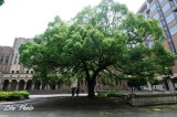 DSC_1430.jpg