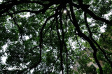 DSC_1433.jpg