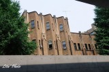 DSC_1505.jpg
