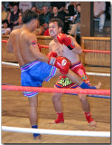 Thai Martial Arts - Muay Thai kick boxing