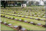 War Cemetery 2