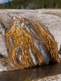 Upper geyser basin, Yellowstone