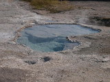 Upper geyser basin, Yellowstone