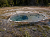 Upper geyser basin, Yellowstone