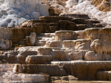 Mammoth Hot Springs, Yellowstone