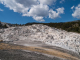 Mammoth Hot Springs, Yellowstone