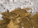 Mammoth Hot Springs, Yellowstone