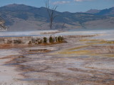 Mammoth Hot Springs, Yellowstone