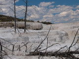 Mammoth Hot Springs, Yellowstone