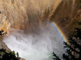 Uncle Toms Trail, Lower Falls, Yellowstone