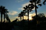 P1010814_resize.JPG