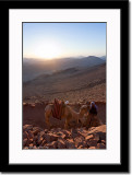 Two Camel Ride Vendors Conversing