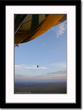 Hot Air Balloon Over Serengeti 2