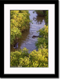 Birdseye View of Hippos