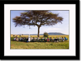 Champagne Brunch Under Acacia Tree in the Wilderness