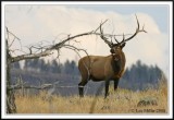 PC-_J3W1092CC framed.jpg