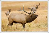 PC-_J3W1187CC framed.jpg