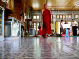Monk at Botataung.jpg